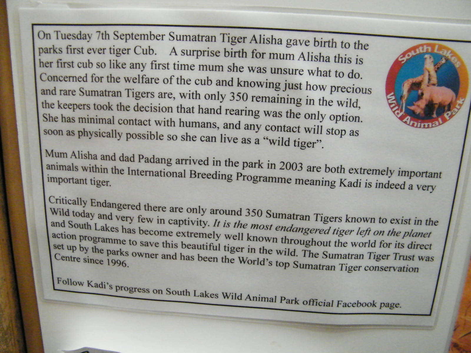 Sign beside Kadi Sumatran Tiger cub viewing