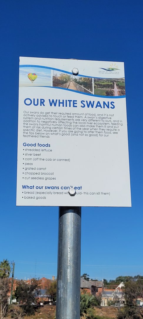 Sign beside the Swan feeder @ Northam WA
