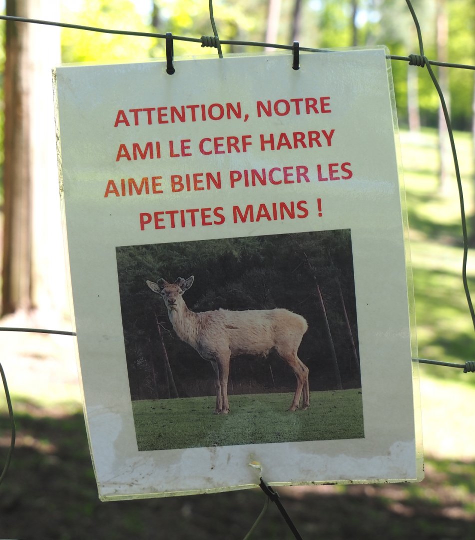Sign Beware, some deer like to nip little hands, 2021-05-29