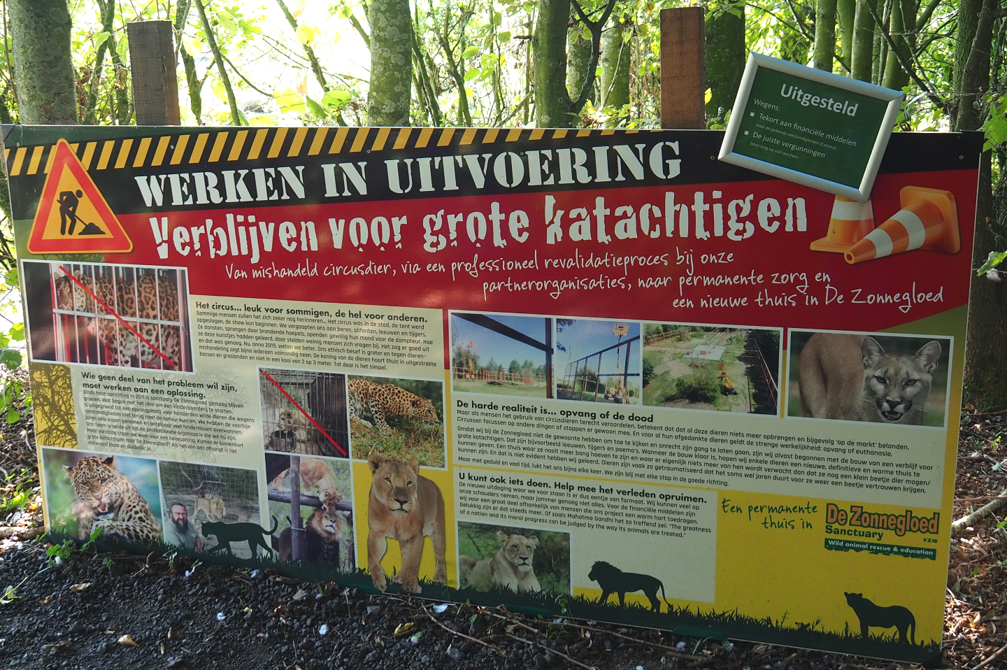 Sign big cat rescue construction project (delayed), 2020-09-12