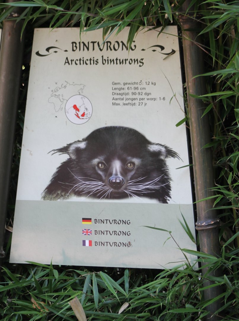 Sign Binturong