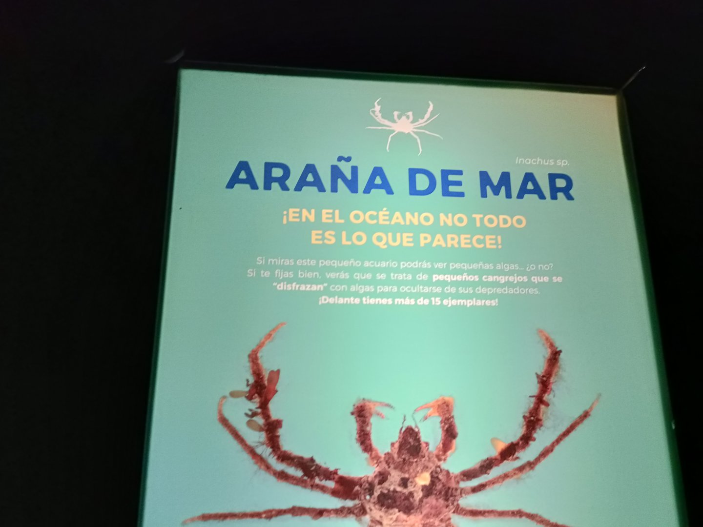 Sign - Bioparc Acuario de Gijón