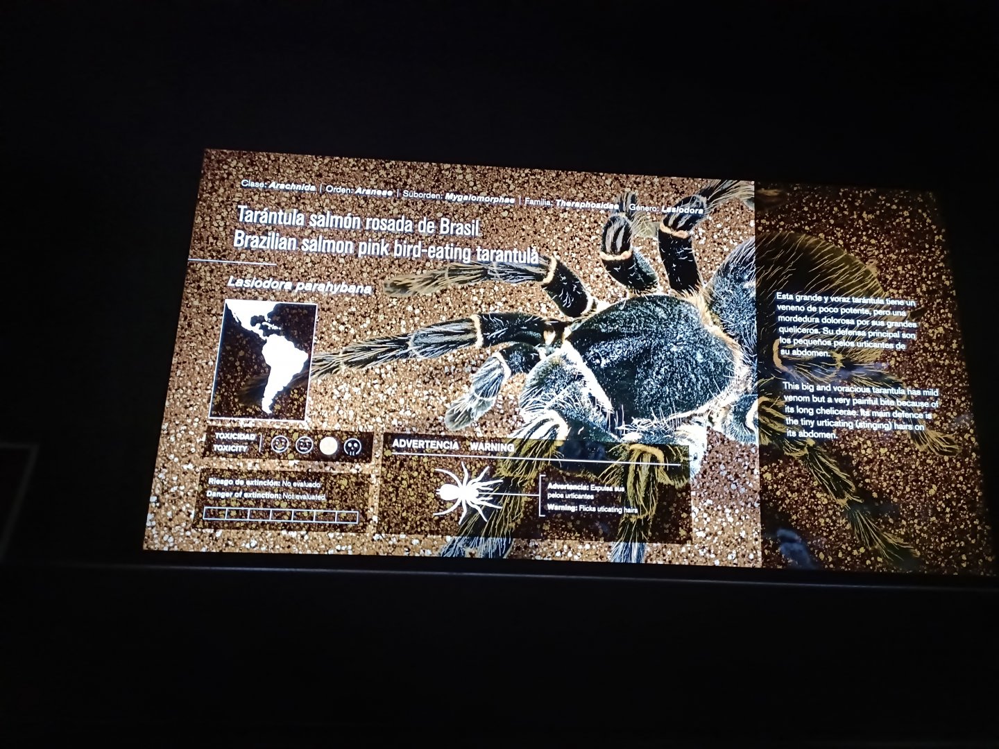 Sign - Bioparc Acuario de Gijón