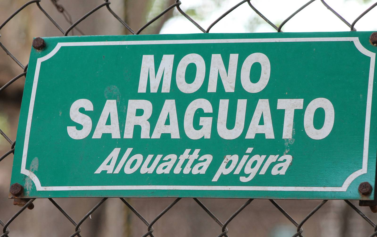 Sign Black howler monkey