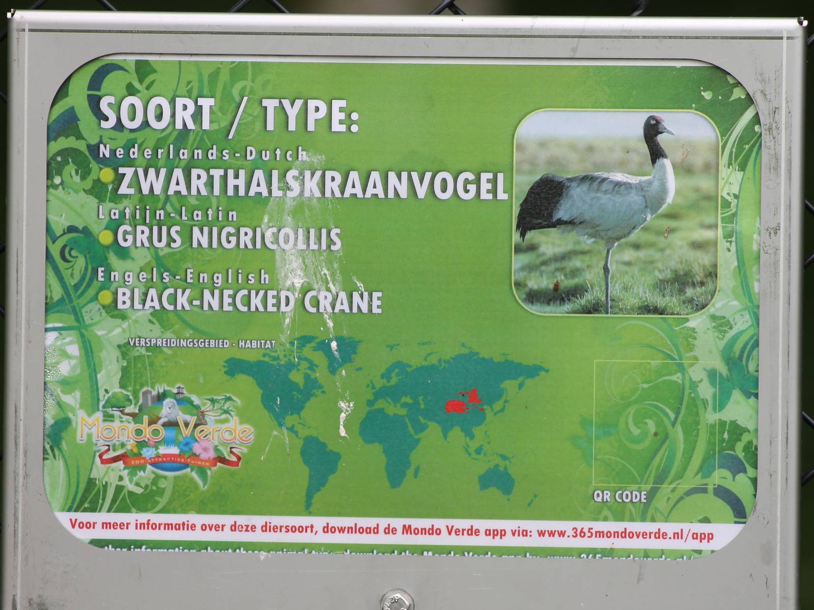 Sign Black-necked crane