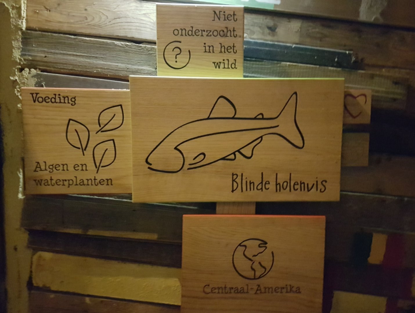 Sign Blind cave-fish