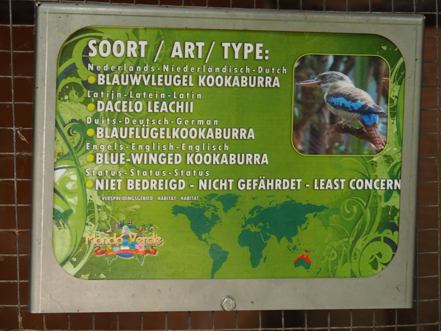 Sign blue-winged kookaburra (Aug 28th, 2018)