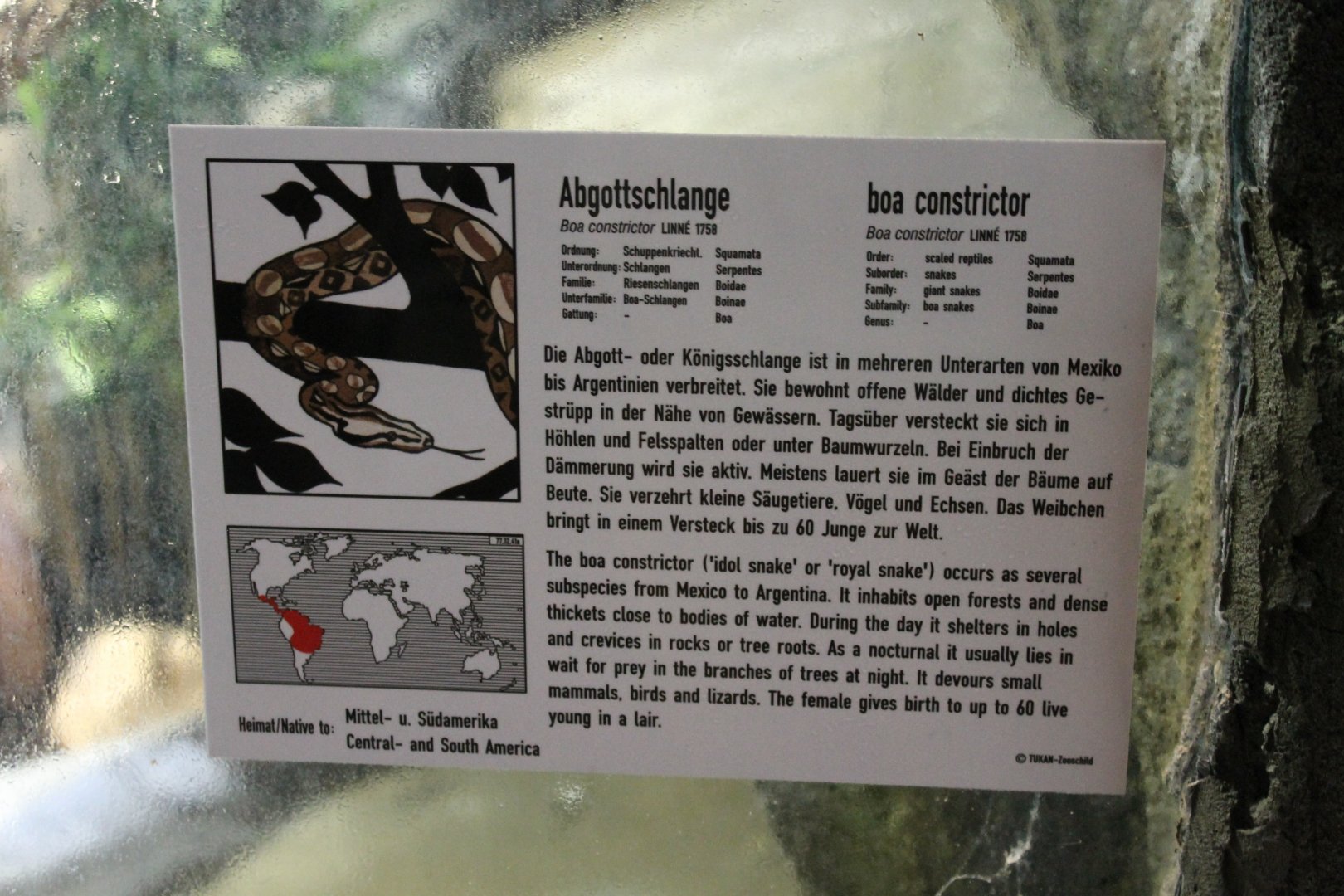 Sign Boa constrictor