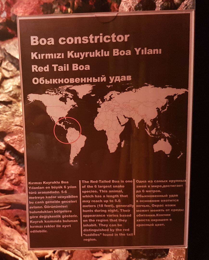 Sign Boa constrictor