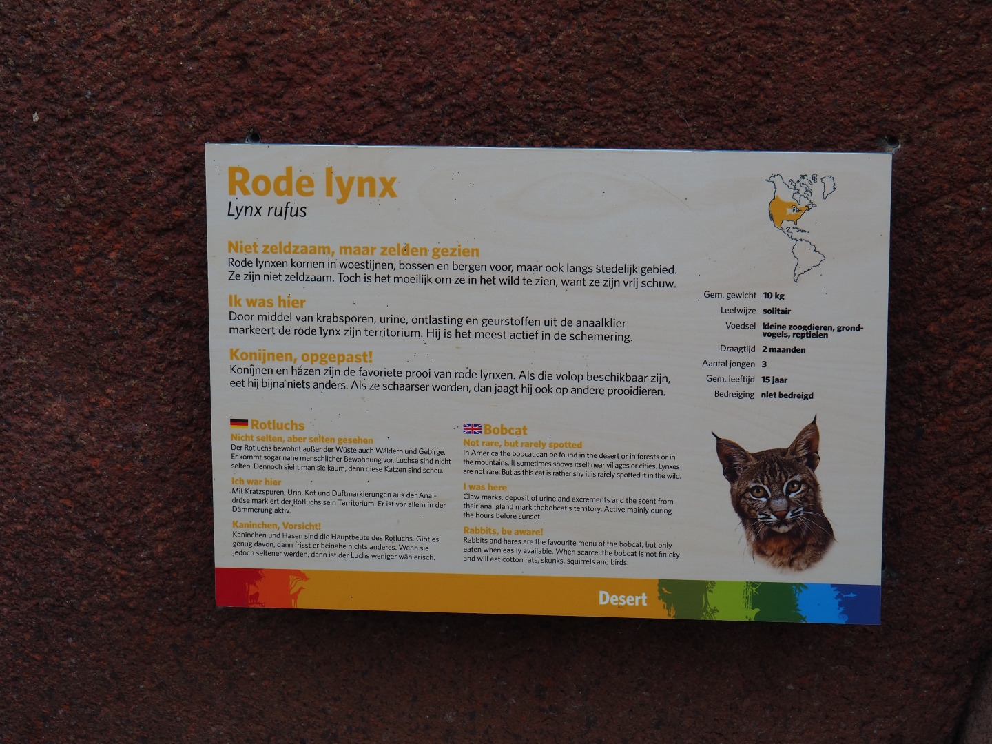 Sign bobcat (Sep 16th, 2018)