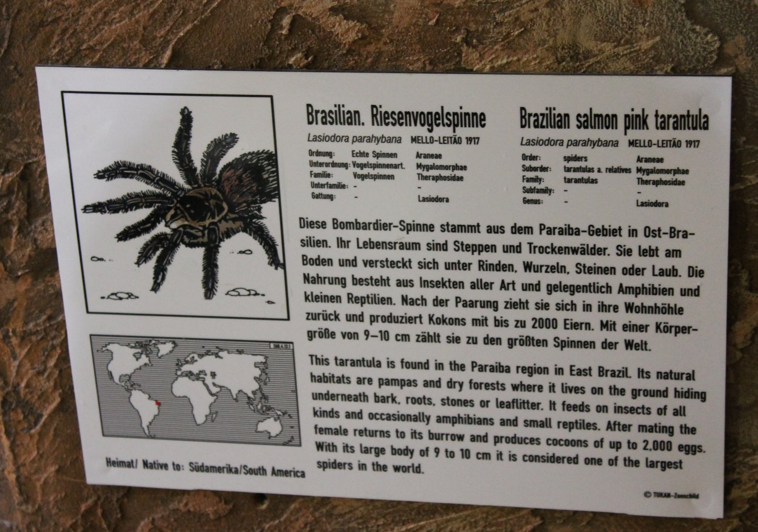 Sign Brazilian salmon pink tarantula