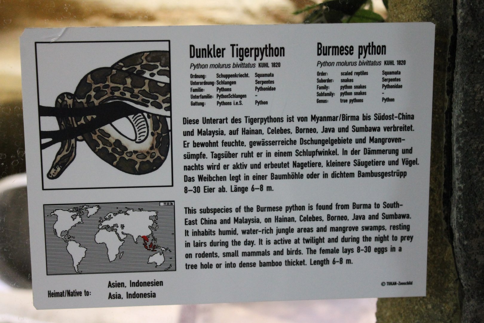 Sign Burmese python