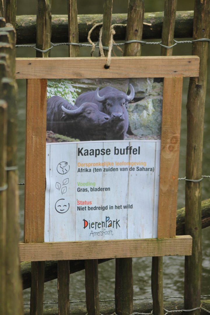 Sign Cape buffalo