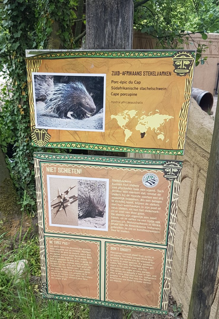 Sign Cape porcupine