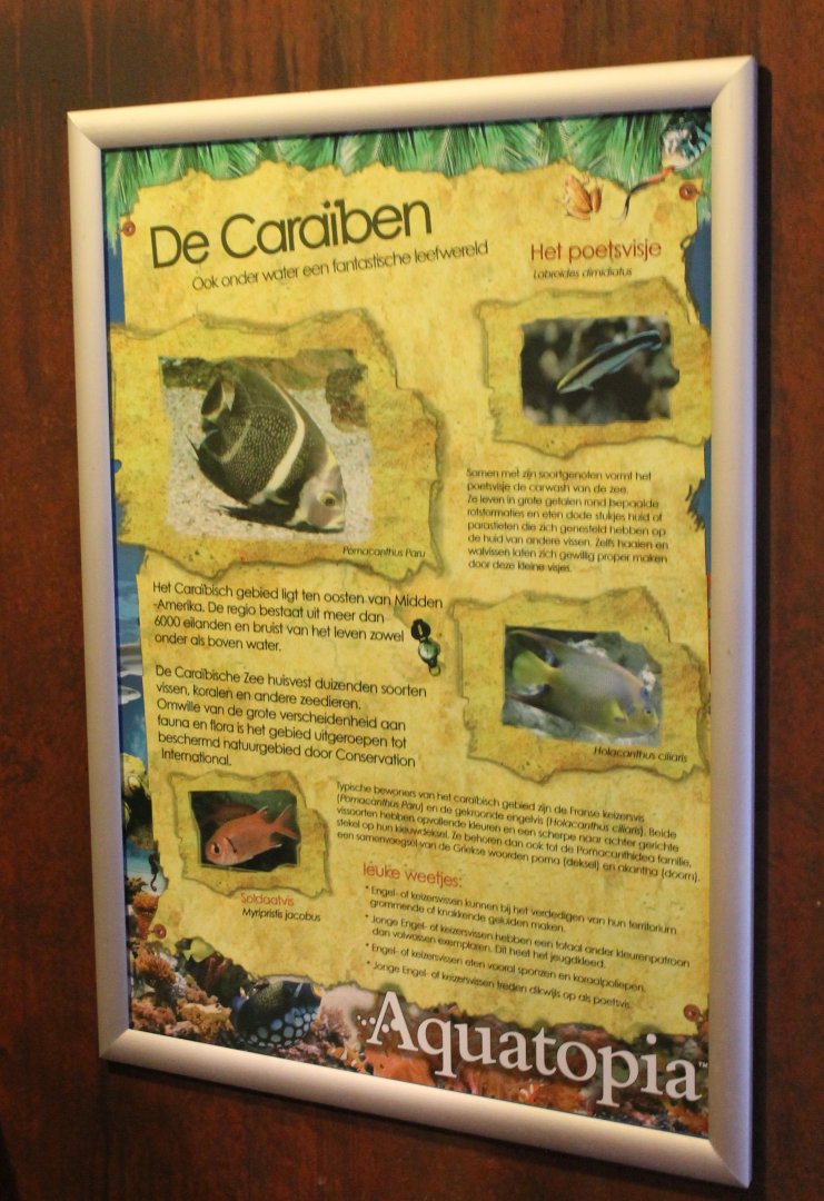 Sign Caraibean aquarium