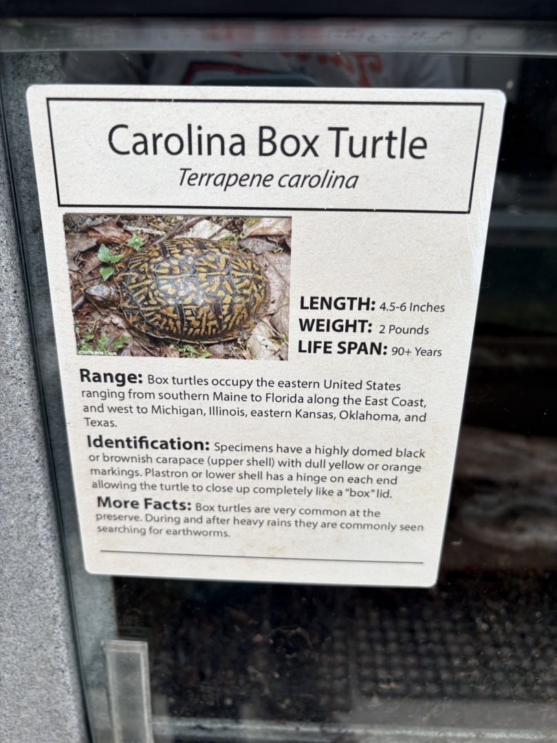 Sign - Carolina Box Turtle