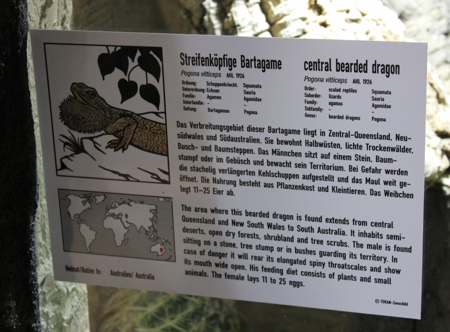 Sign Central bearded dragon