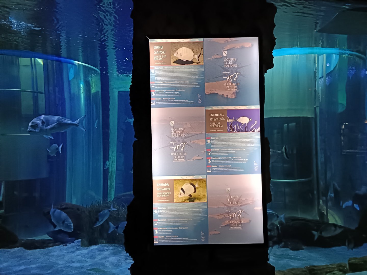 Sign - Centro de visitantes Ses Salines