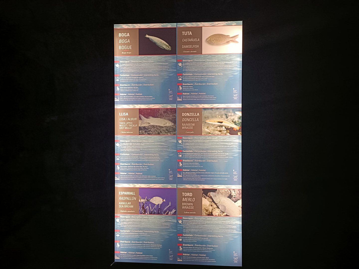 Sign - Centro de visitantes Ses Salines