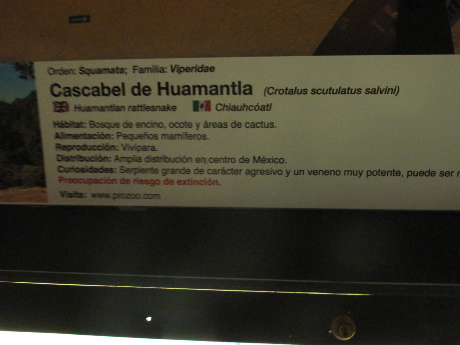 sign chapultepec zoo