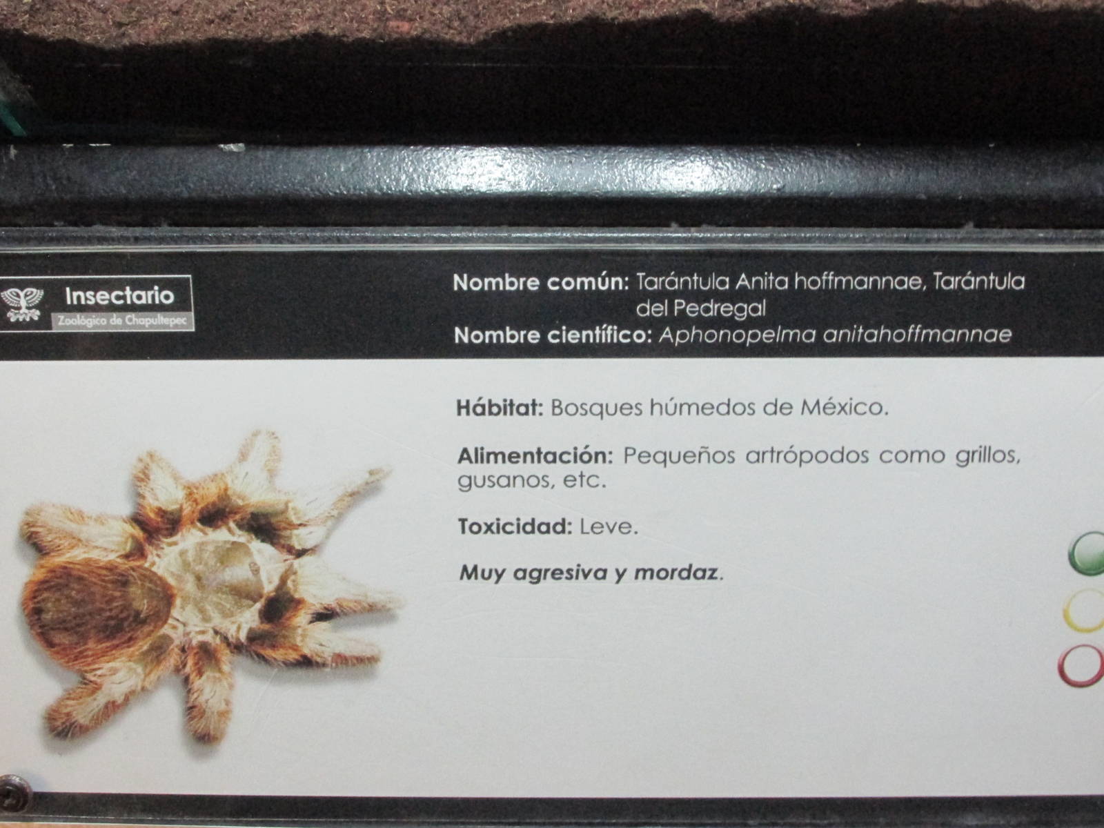 sign chapultepec zoo