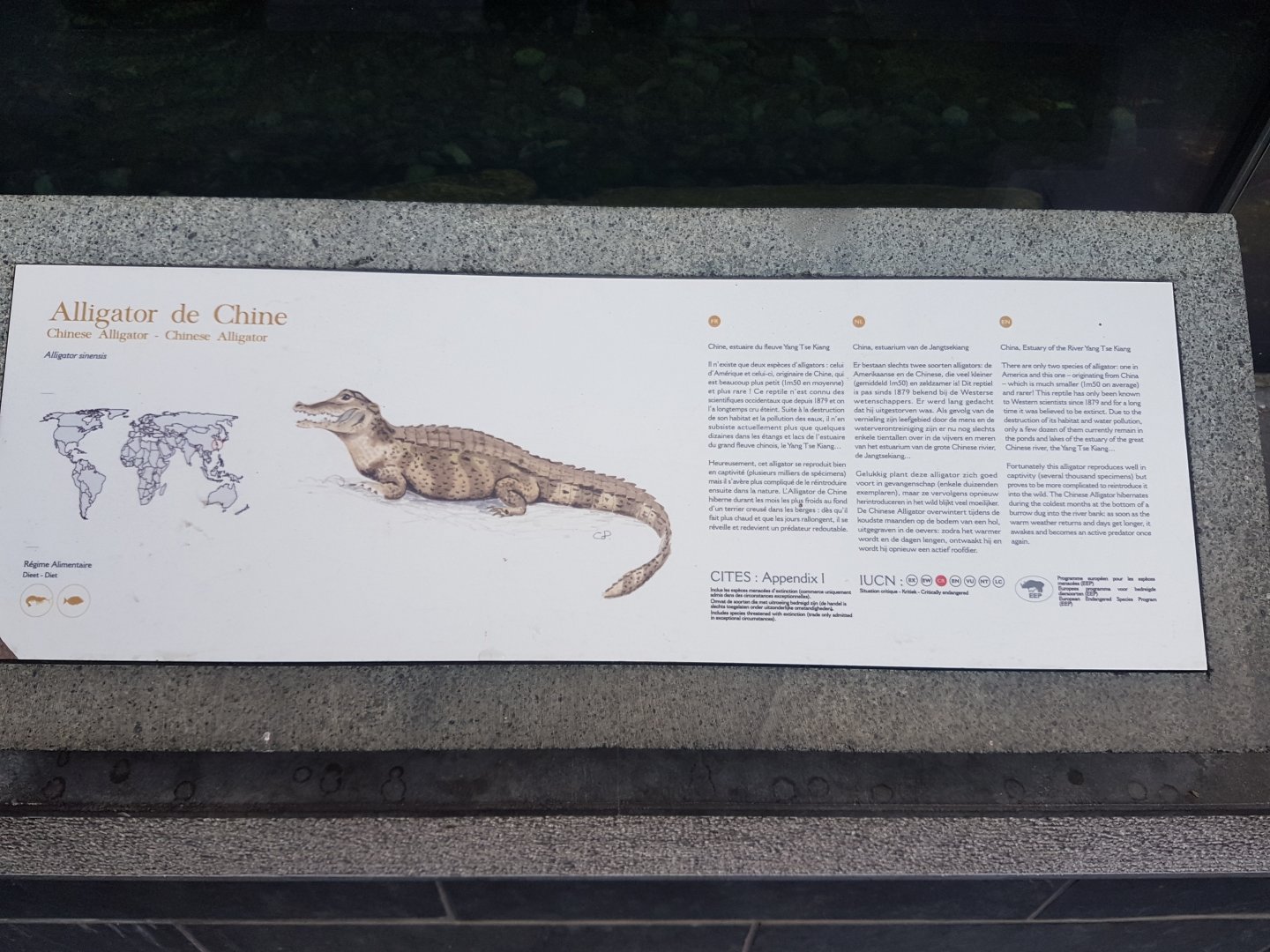 Sign Chinese alligator