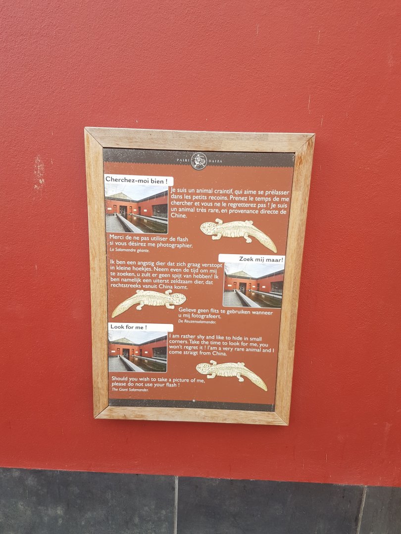 Sign Chinese giant salamander