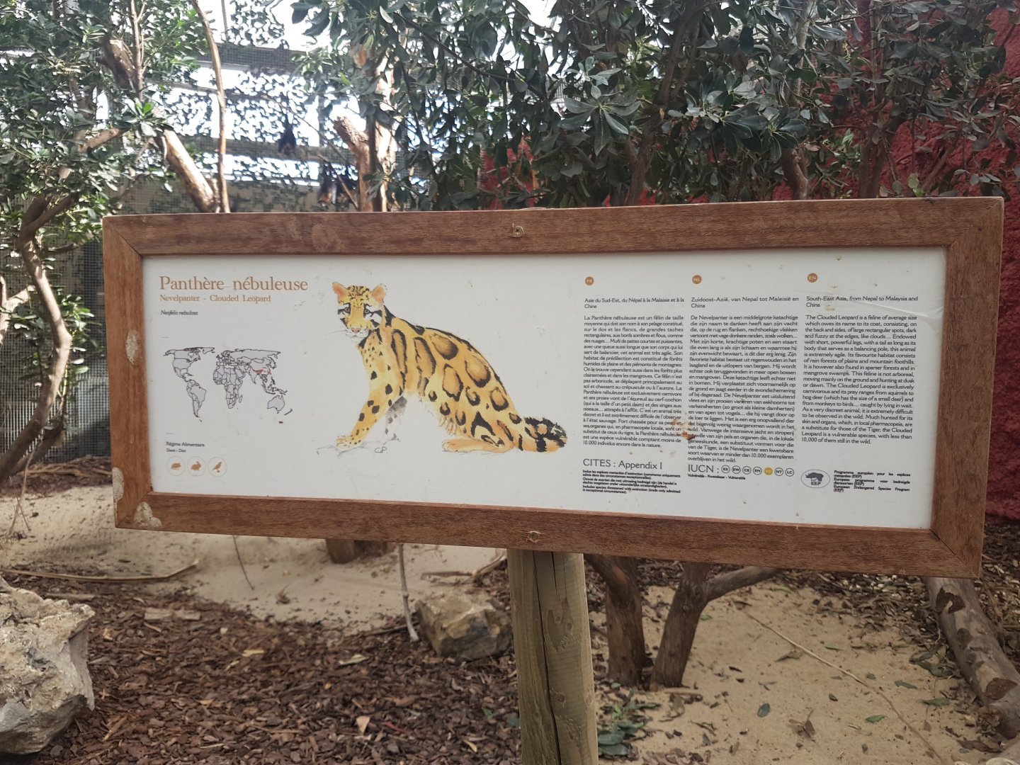 Sign Clouded leopard