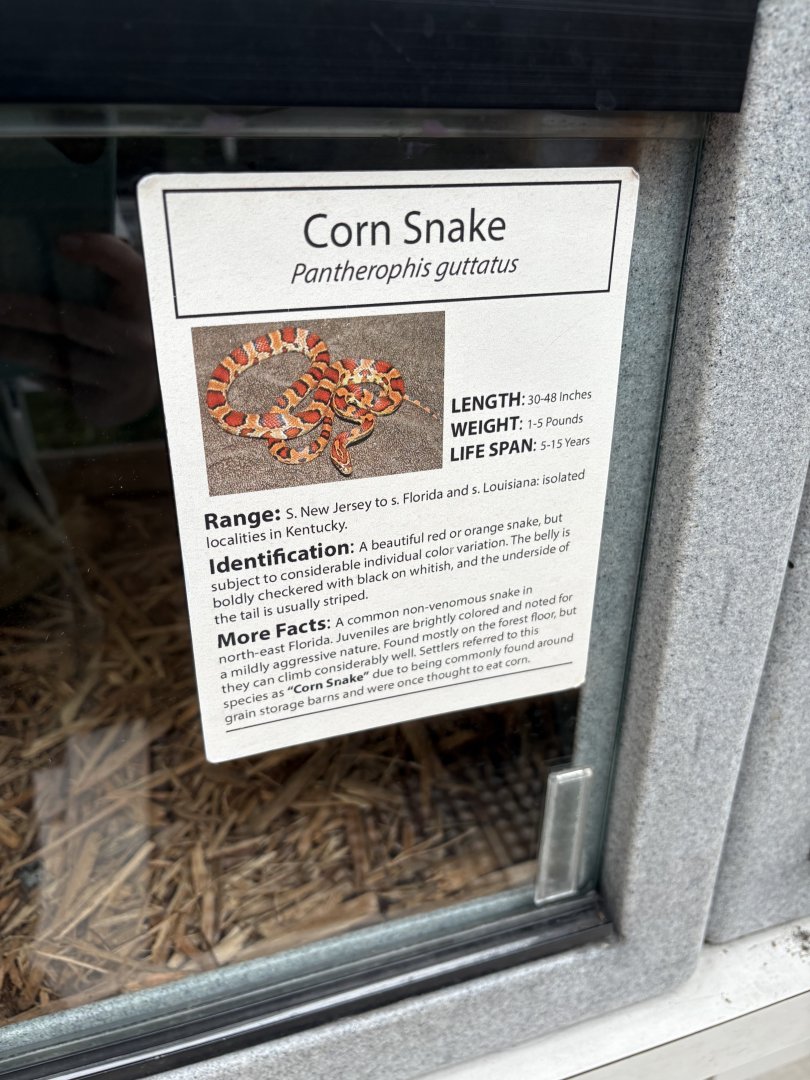 Sign - Corn Snake