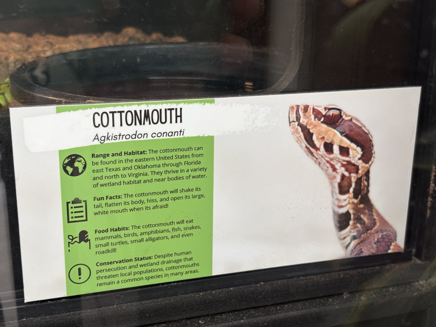 Sign - Cottonmouth