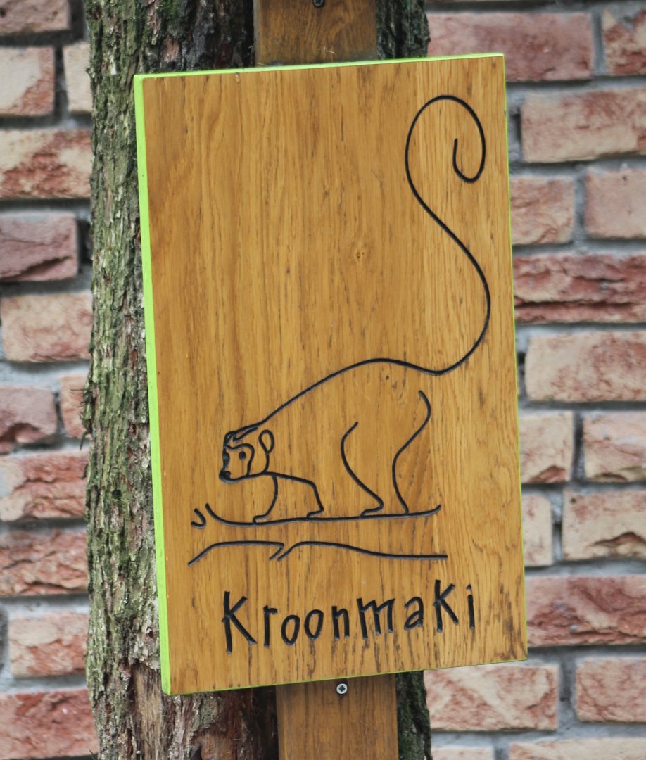 'Sign'  Crowned Lemur