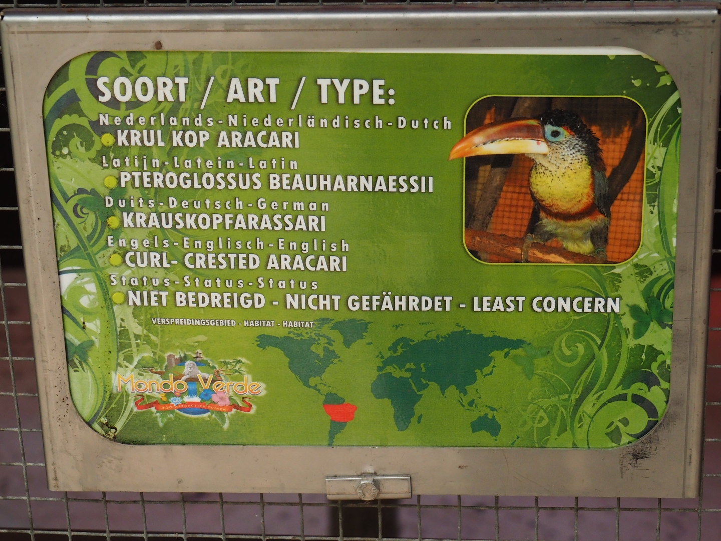 Sign Curl-crested aracari (Aug 28th, 2018)