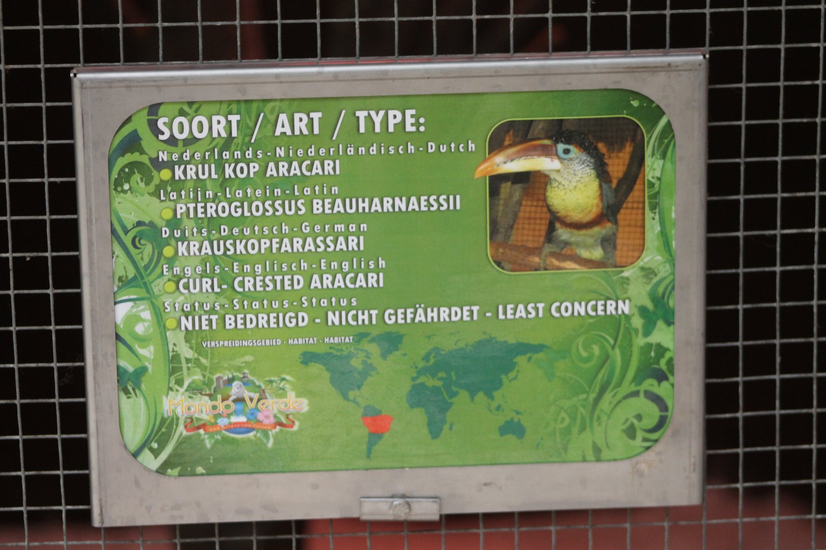 Sign Curl-crested aracari