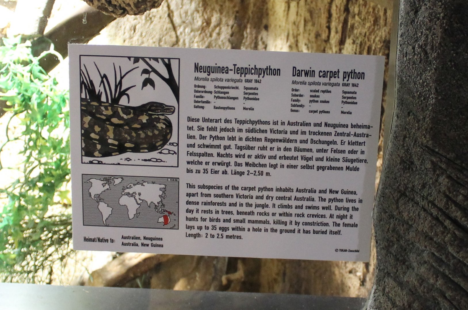 Sign Darwin carpet python