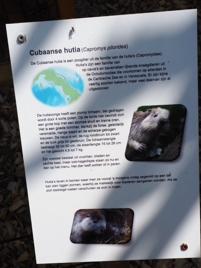 Sign Desmarest's hutia, 2019-06-01