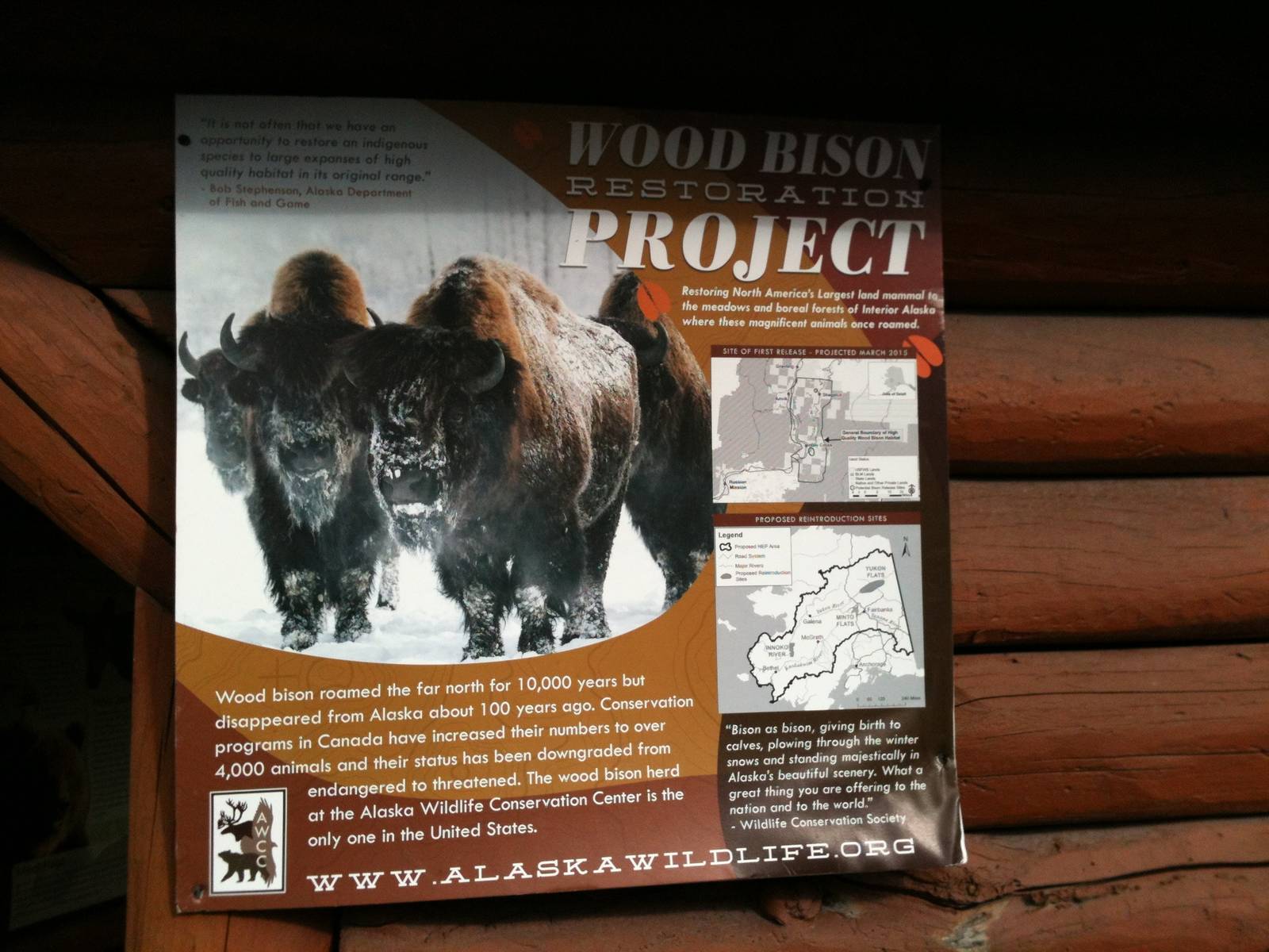 Sign detailing AWCCs role in reintroducing Canadian Wood Bison to Alaska