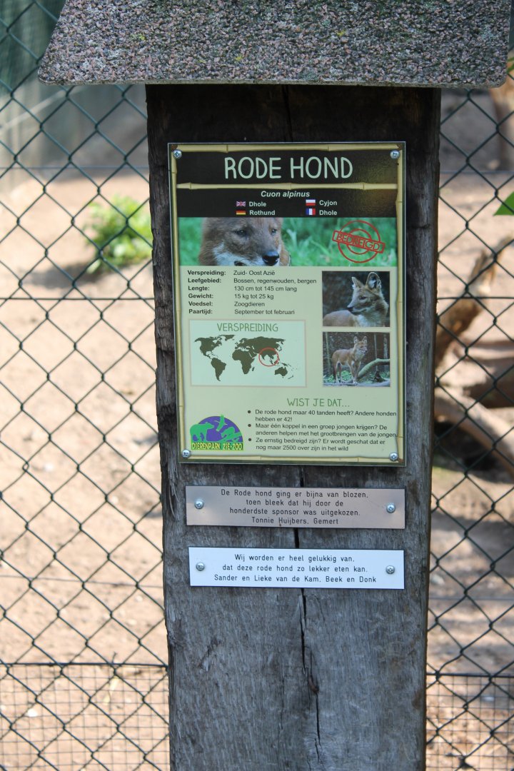 Sign Dhole