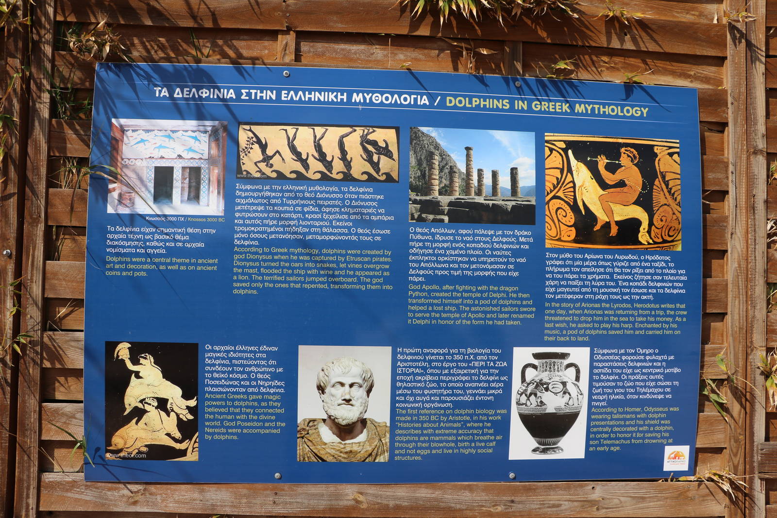 Sign: dolphins in Ancient Greece, February 2016