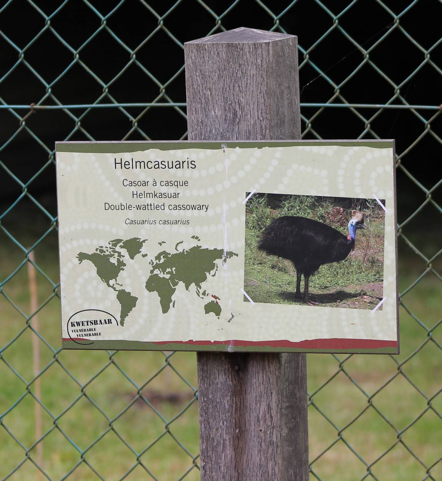 Sign Double wattled cassowary