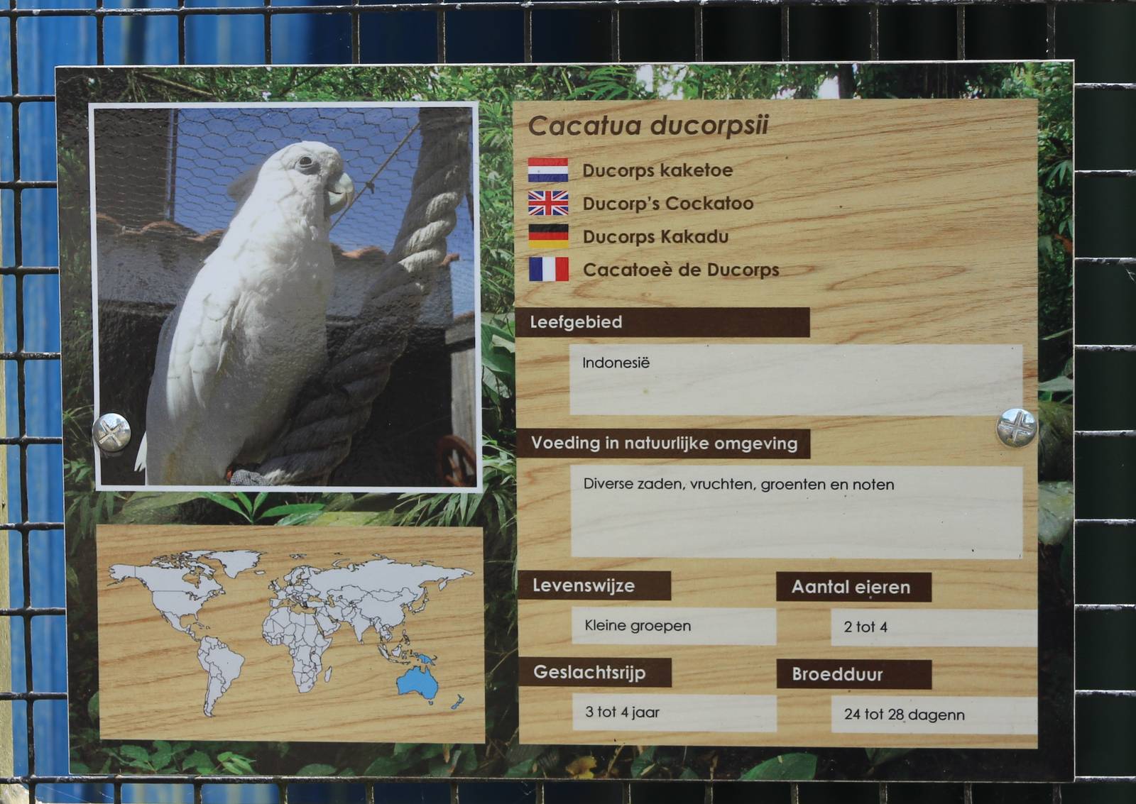 Sign Ducorp's cockatoo
