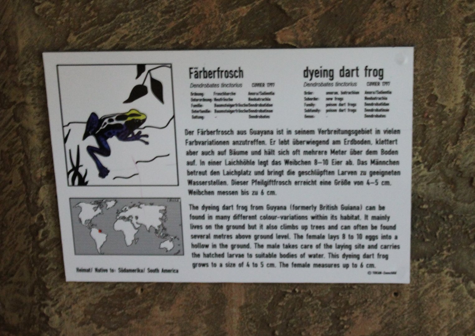 Sign Dying dart frog