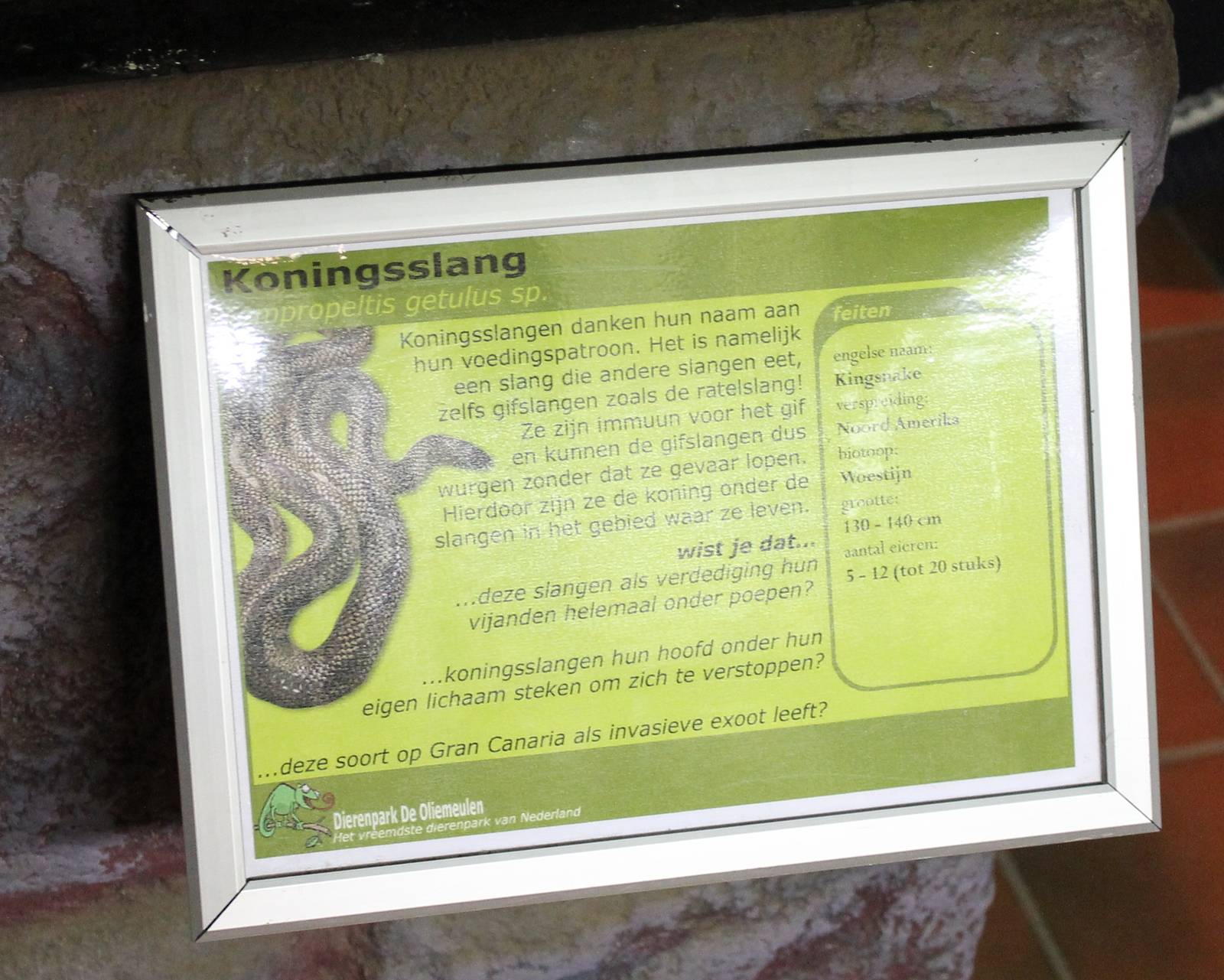 Sign Eastern kingsnake