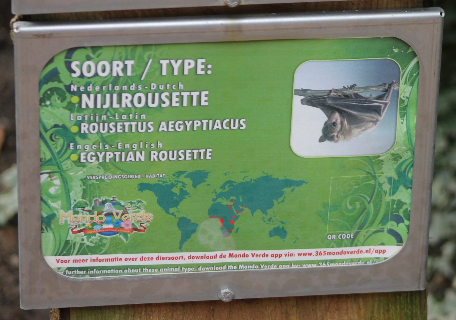 Sign Egyptian rousette