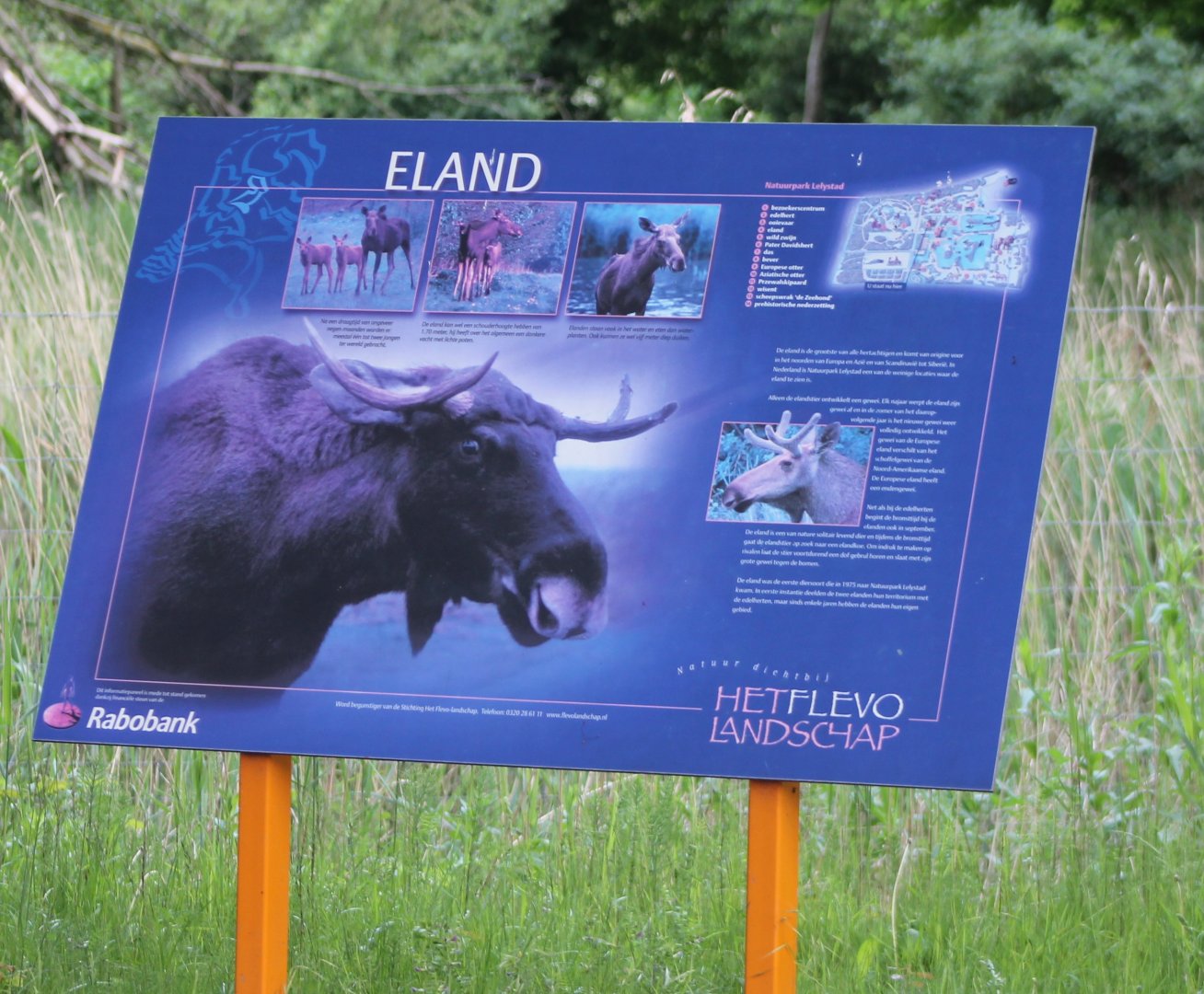 Sign Eurasian elk
