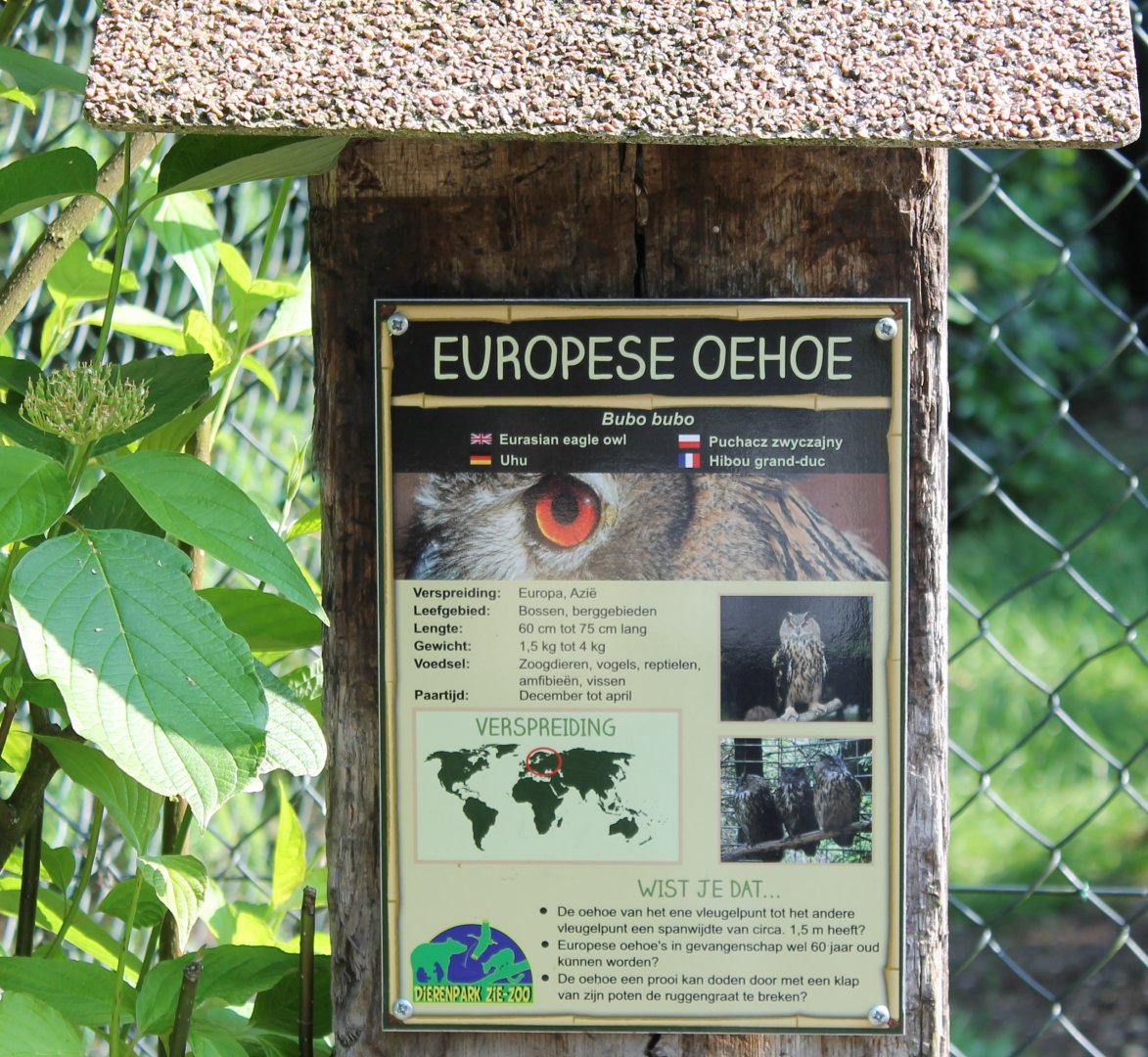 Sign European eagle owl