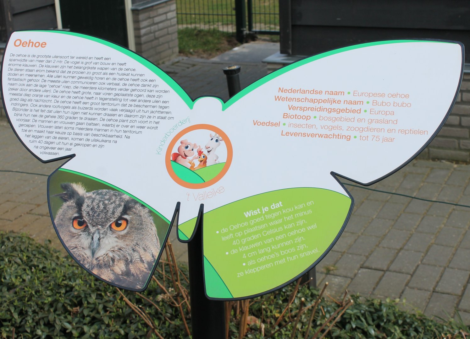 Sign European eagle-owl