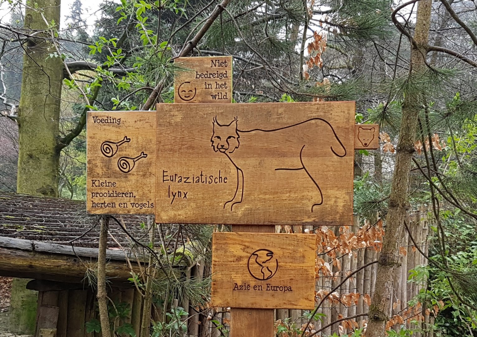 Sign European lynx