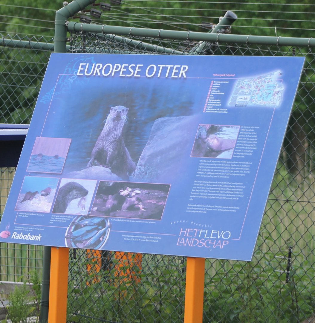 Sign European otter