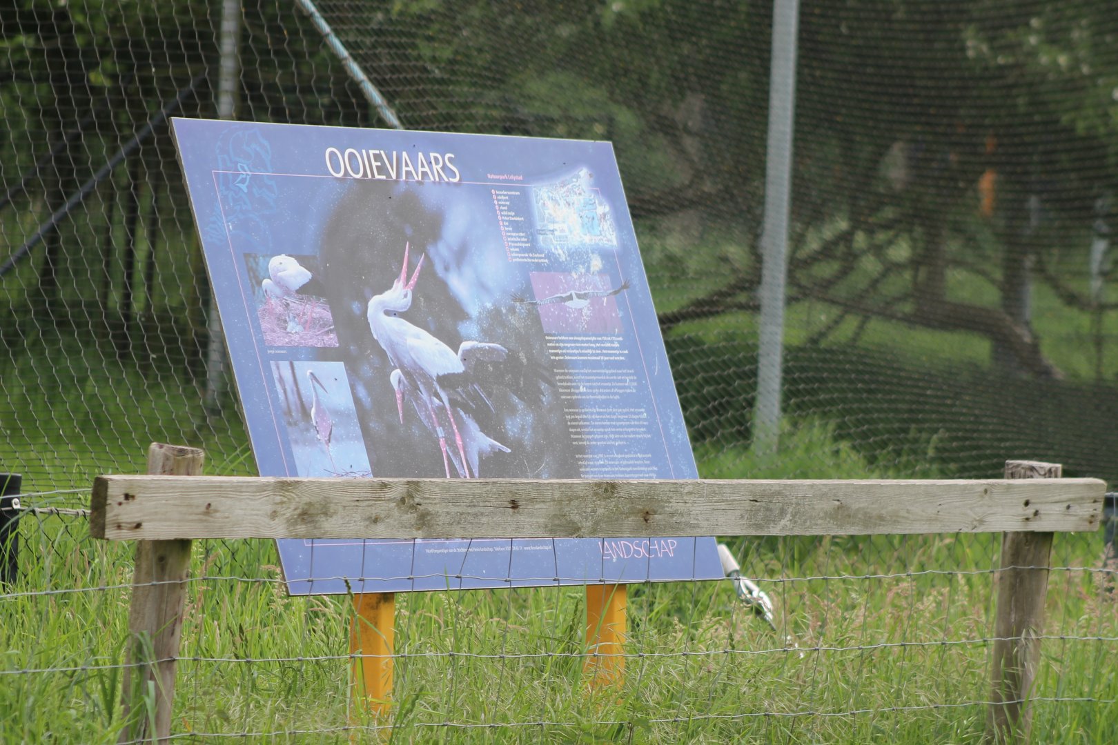Sign European white stork