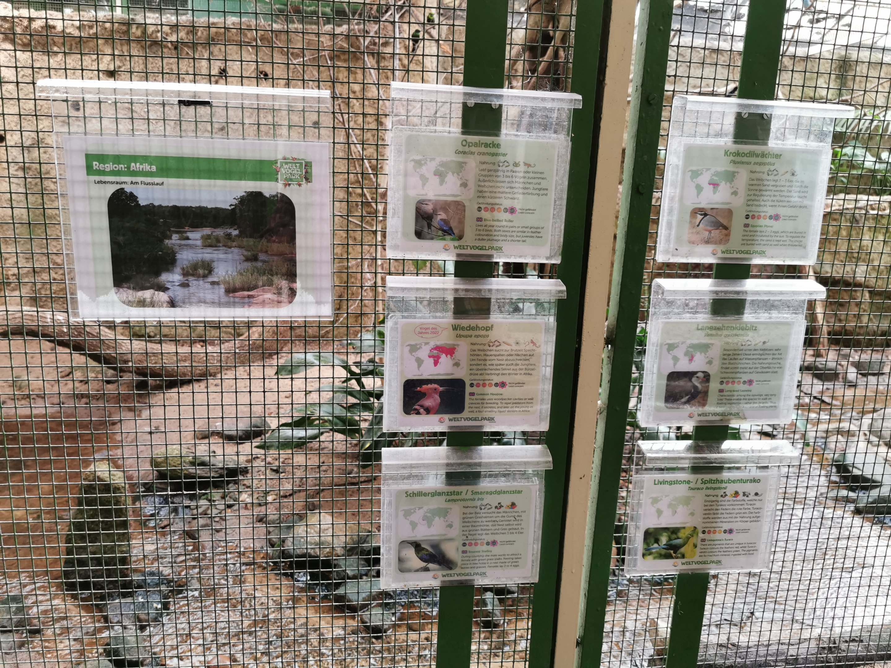 Sign example in paradieshalle